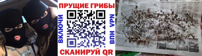 Псилоцибиновые грибы GOLDEN TEACHER  shop официальный сайт  Короча  KRAKEN tor 